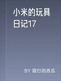 小米的玩具日记17