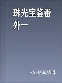 珠光宝鉴番外一