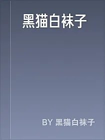 黑猫白袜子