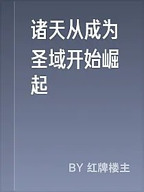 诸天从成为圣域开始崛起