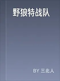 野狼特战队