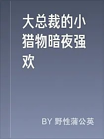 大总裁的小猎物暗夜强欢