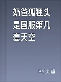 奶爸狐狸头是国服第几套天空
