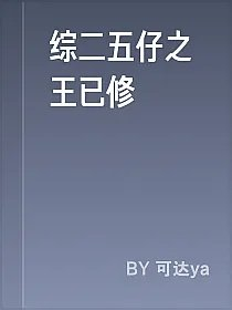 综二五仔之王已修
