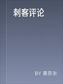 刺客评论