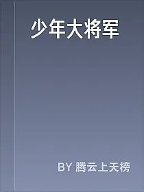 少年大将军