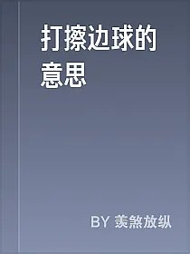 打擦边球的意思