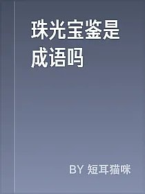 珠光宝鉴是成语吗