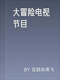 大冒险电视节目