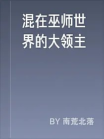 混在巫师世界的大领主