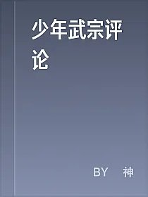 少年武宗评论