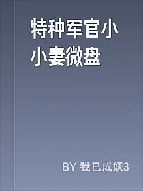 特种军官小小妻微盘