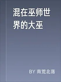 混在巫师世界的大巫