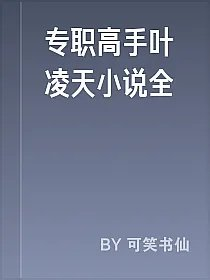 专职高手叶凌天小说全