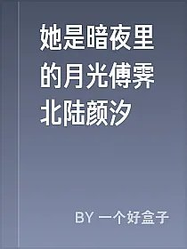 她是暗夜里的月光傅霁北陆颜汐
