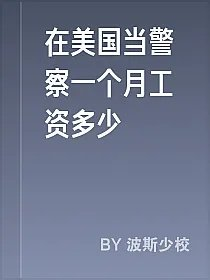 在美国当警察一个月工资多少