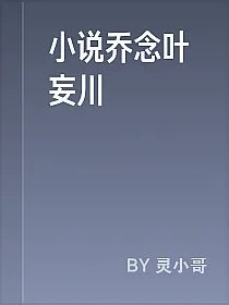 小说乔念叶妄川