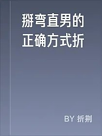 掰弯直男的正确方式折