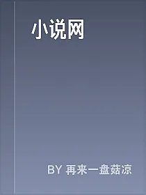 小说网