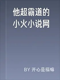 他超霸道的小火小说网