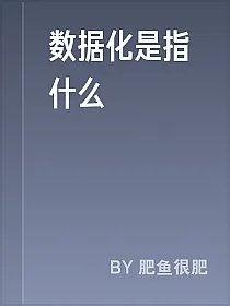 数据化是指什么
