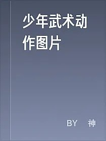 少年武术动作图片
