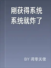 刚获得系统系统就炸了