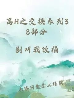 高h之交换系列38部分