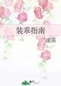 装乖指南