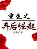 重生之弃后崛起