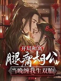 开局和离腿瘸相公当晚缠我生双胎