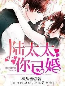 陆太太你已婚