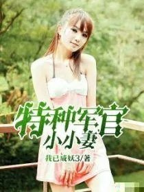 特种军官小小妻完
