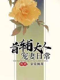 首辅大人宠妻日常