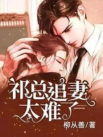 祁总追妻太难了