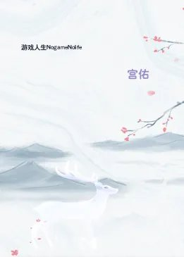 游戏人生nogamenolife