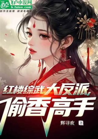 红楼综武大反派偷香高手