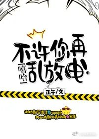 不许你再乱放电