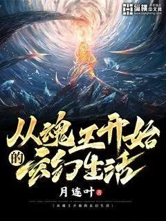 双生子h2v1