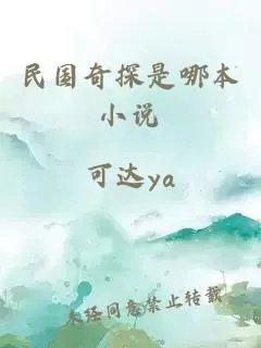 民国奇探是哪本