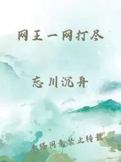 网王一网打尽