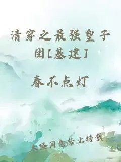 清穿之最强皇子团