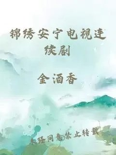 锦绣安宁电视连续剧