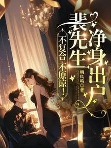 不复合不原谅裴先生净身出户裴湛宋清然姜婳