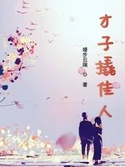 电视剧才子佳人