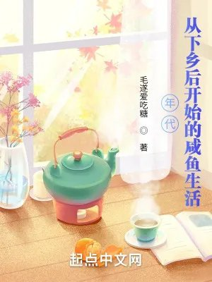 年代从下乡后开始的咸鱼生活精校