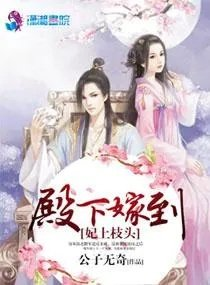 妃上枝头殿下嫁到公子无奇人物