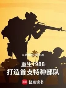重生1988年