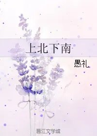 上北下南