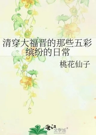 清穿大福晋125